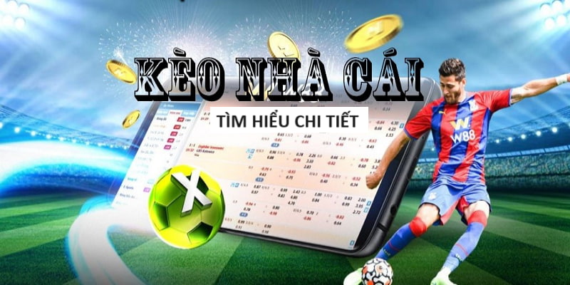 Trang Cá Cược Bóng Đá Uy Tín - Website Cá Độ Thể Thao Số 1 Trang Cá Cược Bóng Đá Uy Tín - Website Cá Độ Thể Thao Số 1